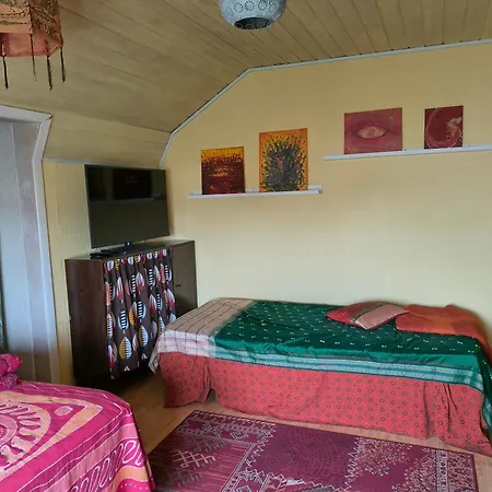 Kissaniitty Pori