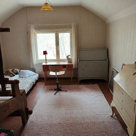 Kissaniitty Pori